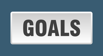 goals button. goals square white push button