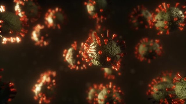 Realistic deadly virus model