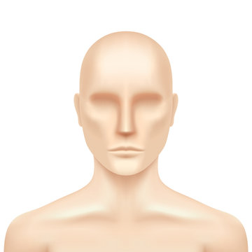 Vector Human Model Isolated O A White Background. Plastic Dummy Torso, Realistic Illustration. Mannequin Mockup.