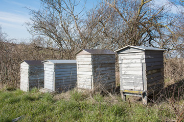 Fototapeta na wymiar four old wornout beehives on a row in the springtime