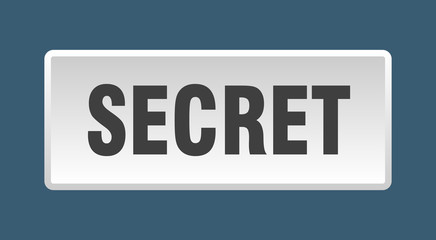 secret button. secret square white push button