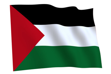 Palestine Flag waving