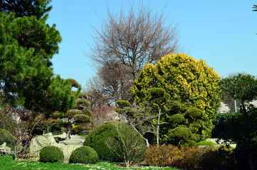 Japangarten in Freiburg