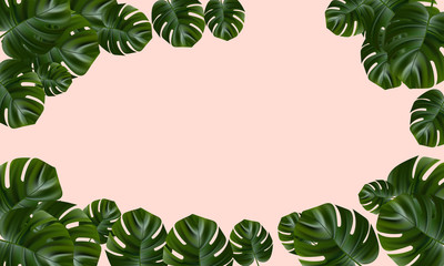 Tropical forest. Jungle background flower and palm. Vector floral illustration. Exotic tropical jungle rainforest bright green monstera leaves border frame template on pink background.