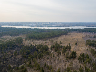 Fototapeta na wymiar A lake near a coniferous forest on the outskirts of Kiev. Aerial drone view.