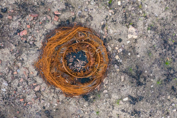 The remains of a car tyre after the bush fires in Australia