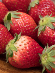 イチゴ　とちおとめ