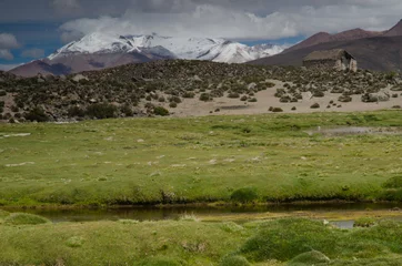 Foto op Canvas Meadow, hut and mountains in Lauca National Park. © Víctor