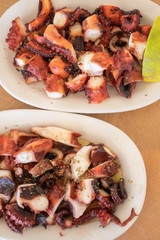 Cooked boiled and grilled octupus greek style on a white plate