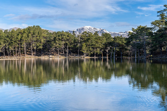 Bassa d&acute;Oles lake with reflection in winter.