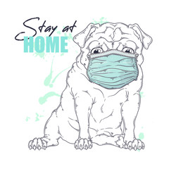 Hand drawn portrait of the pug dog  in a medical mask Vector.