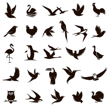 collection of various black bird icons isolated on white background