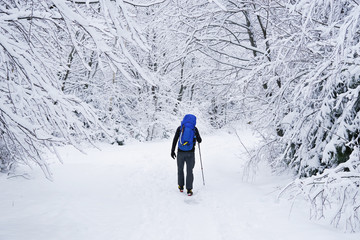 Fototapeta na wymiar Trekking in harsh winter condition. Winter alpine landscape