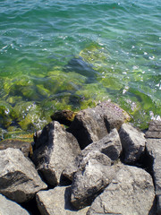 Focus on a group of rocks at the edge of Lac du Bourget, near the town of Aix-les-Bains.