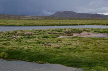 Fototapeta na wymiar Landscape with meadows and lagoon in Parinacota.