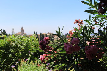 Alhambra palace and fortress complex in Granada, Andalusia, Spain.