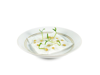Pepper seed germination on wet napkin isolated on white background