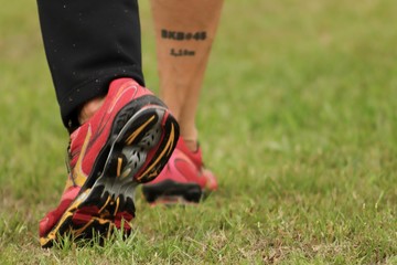 Walking in the grass