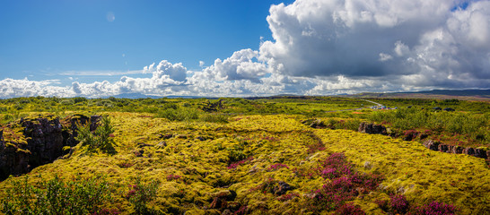 Panoramic view over beautiful summer landscape with ancient moss and tundra flowers at the Thingvallavatn lake in Iceland, summer, blue sky - obrazy, fototapety, plakaty