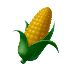 Obraz premium Corn Illustration