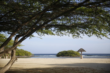 Mangel Halto Beach in Aruba