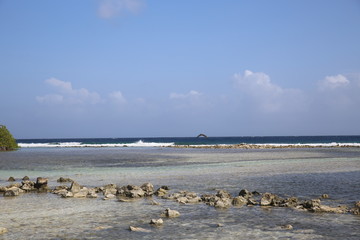 Fototapeta na wymiar Mangel Halto Beach in Aruba