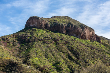 Green growth  over a large  mountain in the desert and cliff