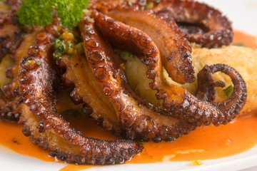 Seafood or closeup of a grilled octopus with herbs