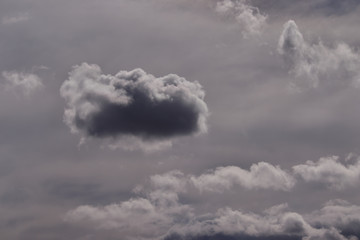 Shaded gray cloud, floating in the pale sky