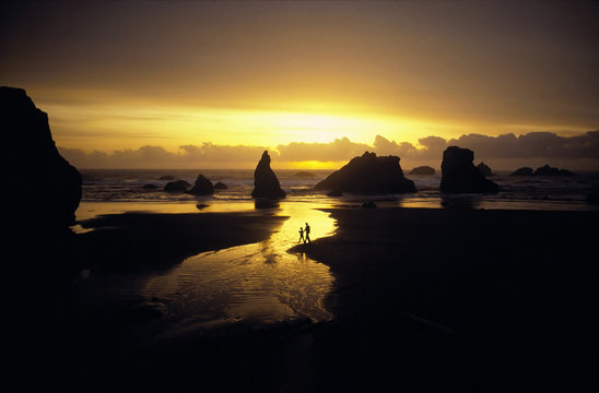 Sunset Walk -Scenic view of golden sunset silhouetted over cky robeach at low tide with silhouetted father and son walking.