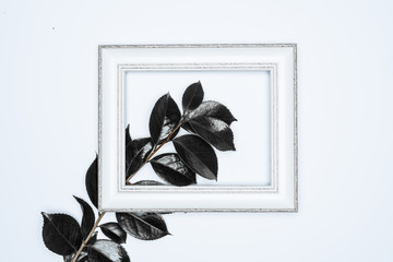 Black leaves with white photo frame on white background. Flat lay, top view, space.