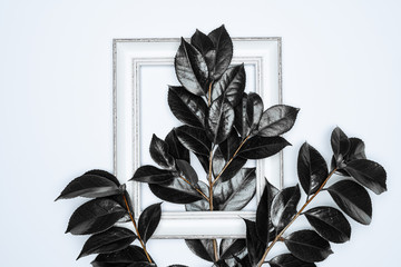 Black leaves with white photo frame on white background. Flat lay, top view, space.