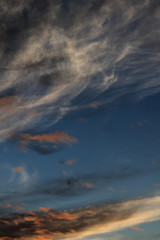 Portrait image of  clouds tufts illuminated by the  twilight, with a veil of very fine white clouds in the background.