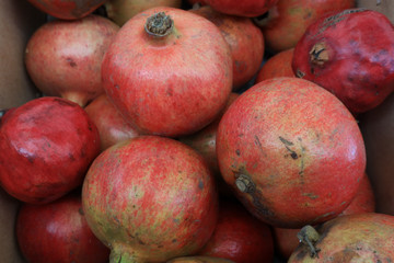 grenades rouges