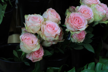 fleurs de toutes les couleurs