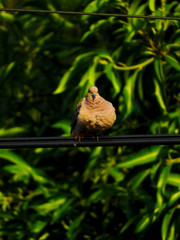 Instagram : https://www.instagram.com/lucasmaximilianoph/