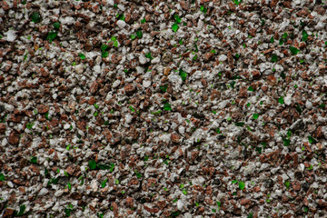 texture of small pebbles and small green glasses, close-up