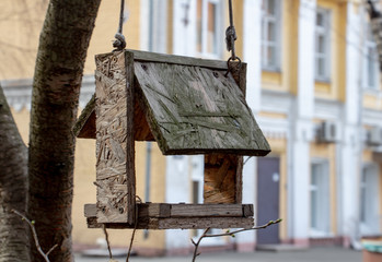 bird feeder weighs on a tree