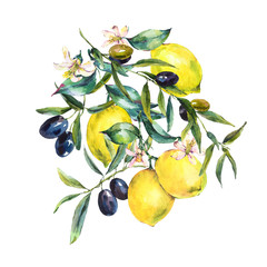 Obraz premium Watercolor lemon and olive branches greeting card
