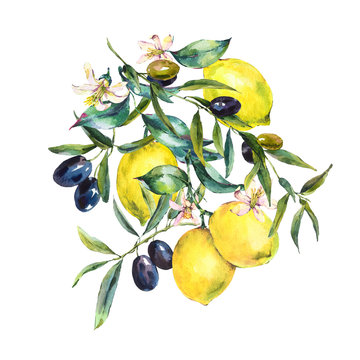 Watercolor lemon and olive branches greeting card