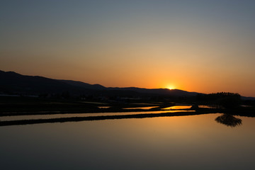 Obraz premium 夕暮れの春の水田