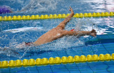natacion