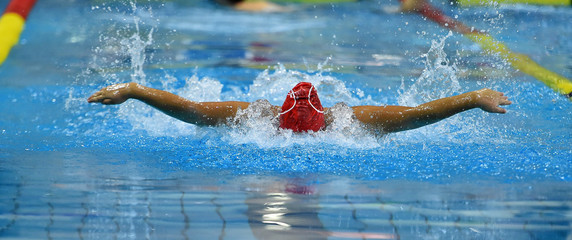 una nadadora en unas olimpiadas - obrazy, fototapety, plakaty