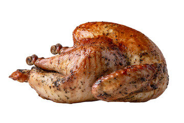 Organic whole young roast Turkey with a crispy crust. Isolated on a white background.
