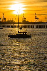 ニュージーランド　オークランドの桟橋からの港の風景と夕日でオレンジに染まった空とヨット