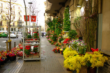 Sale of plants and flowers in Barcelona.