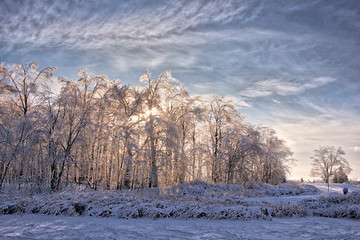 Winter landscape after ice storm