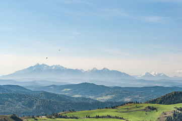 Panorama tatr. panorama gór. Alpejska polana z górami w tle. © monswi