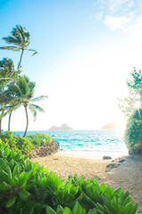 Beach in Hawaii