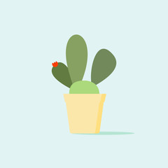 kawaii cactus icon vector. Cactus vector illustrations. Cute colorful succulents and cacti flat style on color background. Botanical collection of houseplants